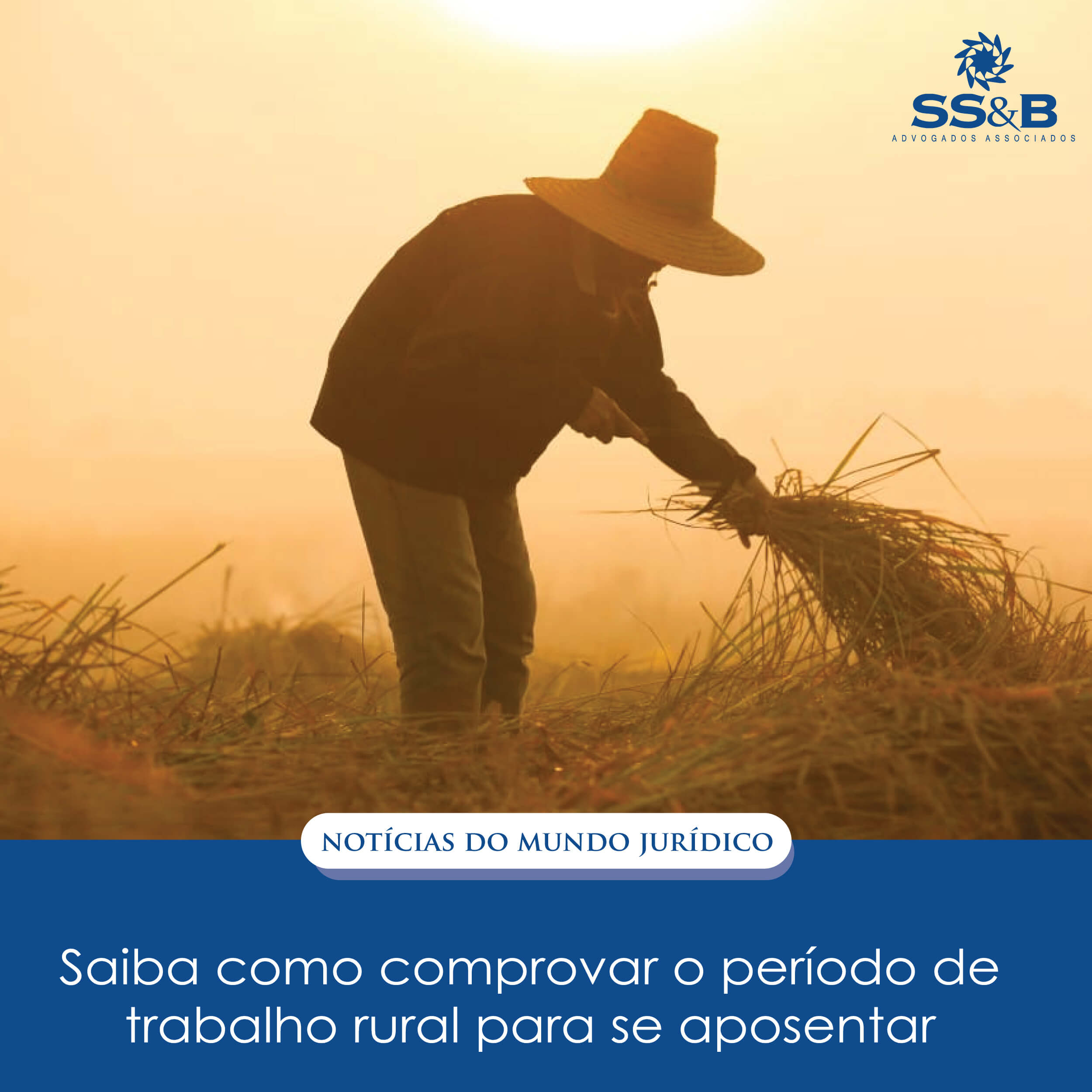 Saiba como comprovar o período de trabalho rural para se aposentar